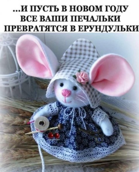 IMG 20200106 034103