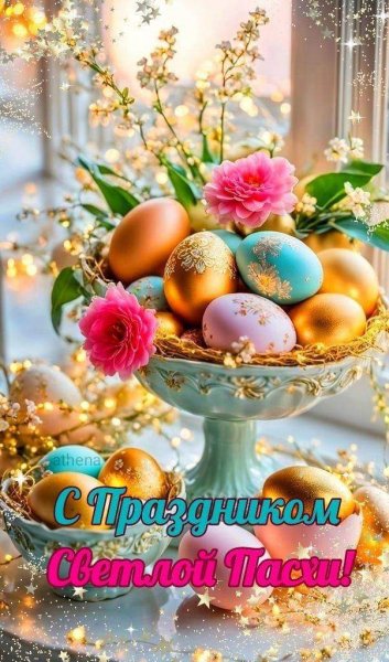 FB IMG 1714924830210