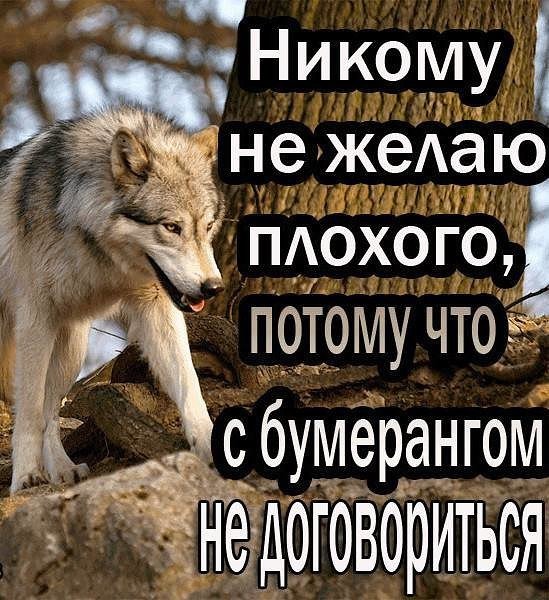 Правильно