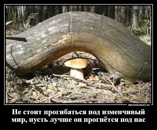 Не стоит прогибаться под изменчивый мир...