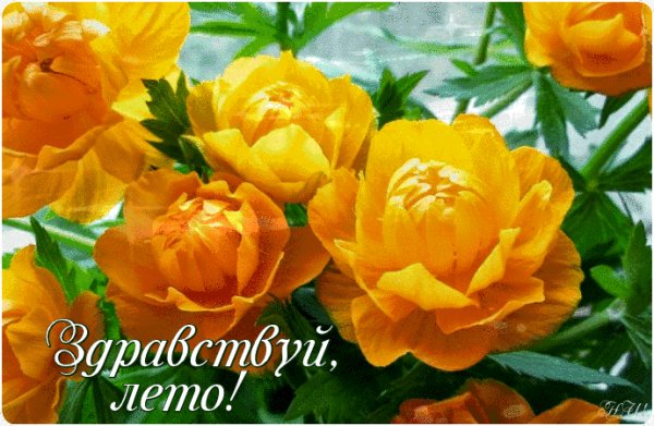 file_73768806