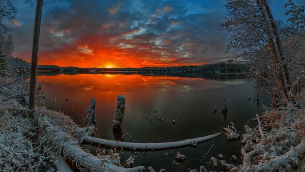 - Багряный рассвет. Архангельская область