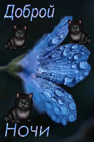 file_101444283
