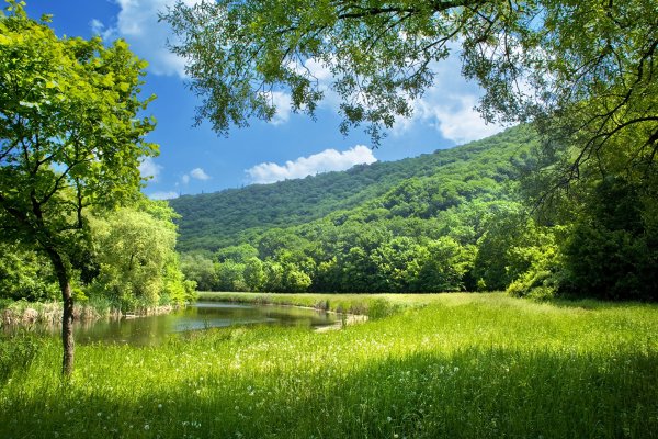 Summer Rivers Scenery 380341