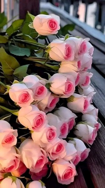 file_99507076