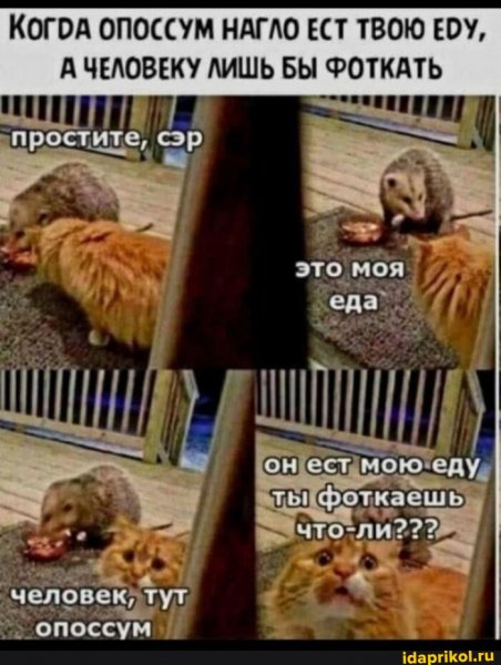 1ecc33691398a4ead061fd539327bef6655394624307cc 1