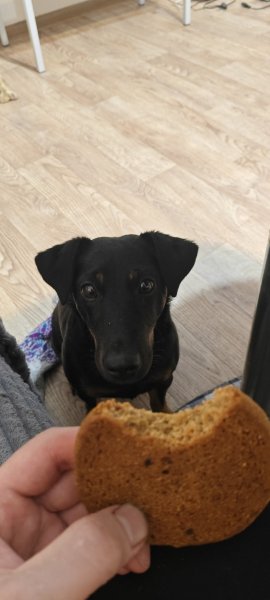 HWQ251OKNHTFCEGBJFNH