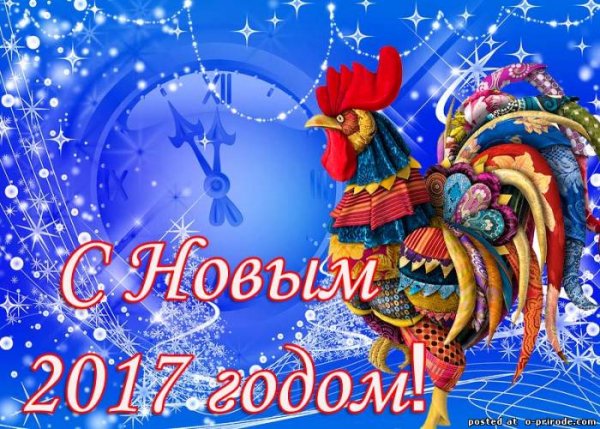 NHKNAXNjRzw