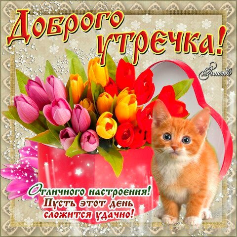 IMG 20181104 204732 910