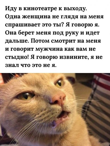file_101218962