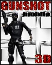 (R)gunshot 3d 128x160
