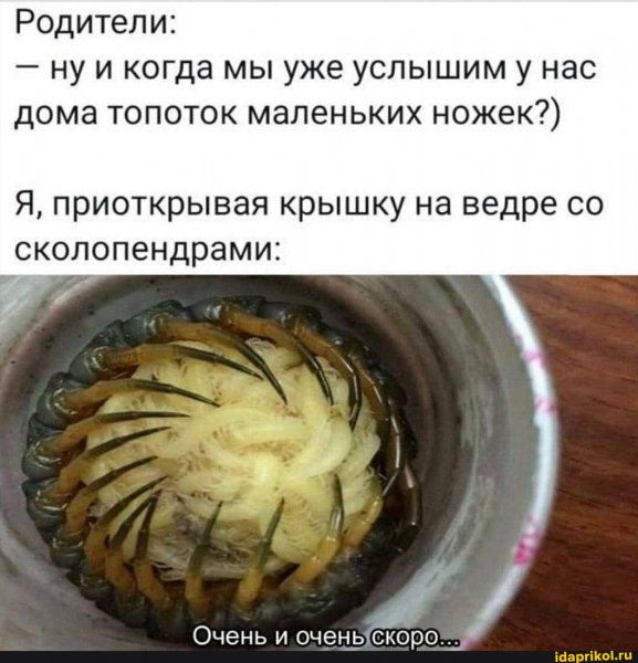 Aed8b4ee4deab2c65051e7a946cac3bafc55dace3b2b72 1