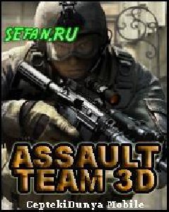 assault team 3d