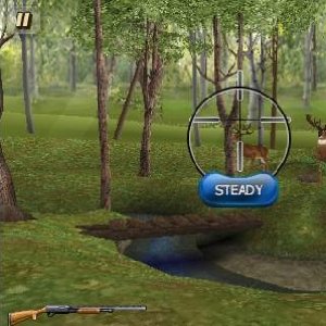 Deer Hunter 3 208x208