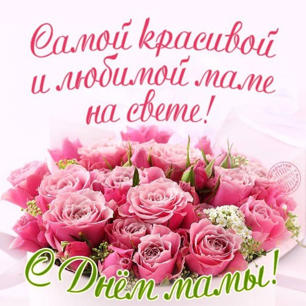 file_95155166