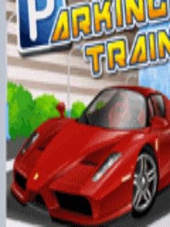 Parking Training