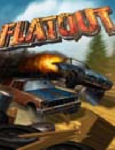 Flat Out 2DFlat Out 2D
