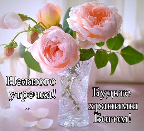 IMG-20181116-WA0004