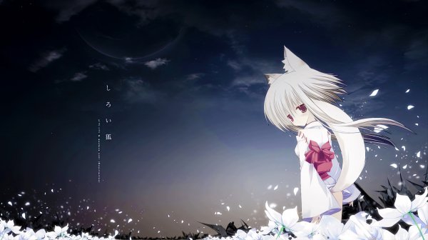 file_86223188