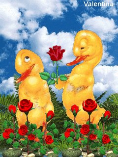 6e07c5e71b303d22361a75782e519627