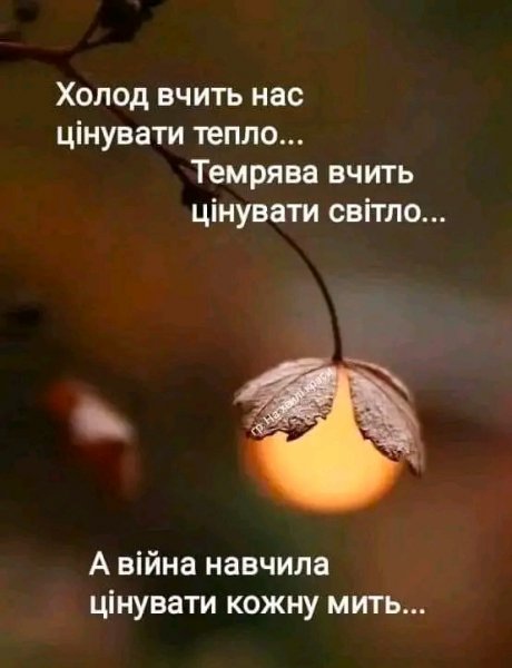 FB IMG 16695579488295214