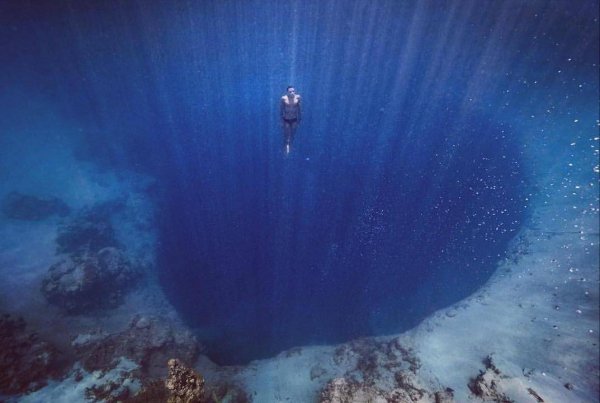 pic quark 1610660754985