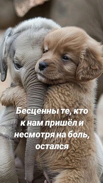 ee6fdfbd772175526878004de8ff1