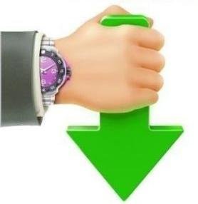Internet Download Accelerator