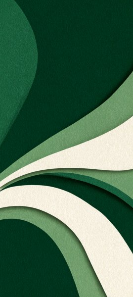 adapted 1080x2408 1773370319