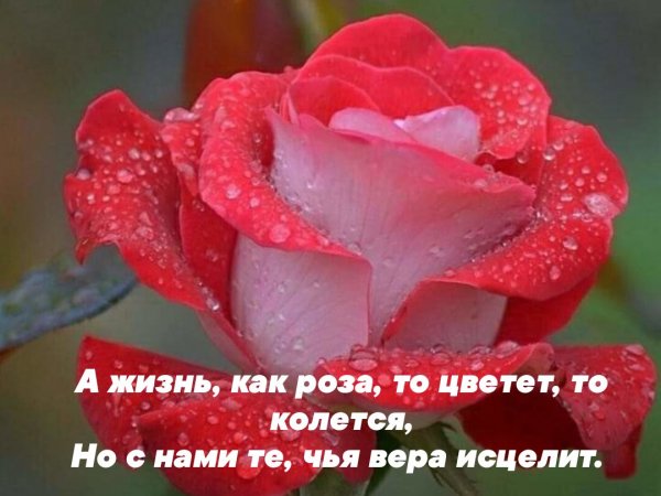 zTvPUf0ofo