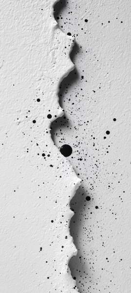 adapted 1080x2408 1763699272