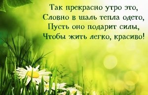 IMG 20181118 060338