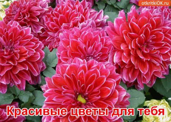IMG 20211221 174435