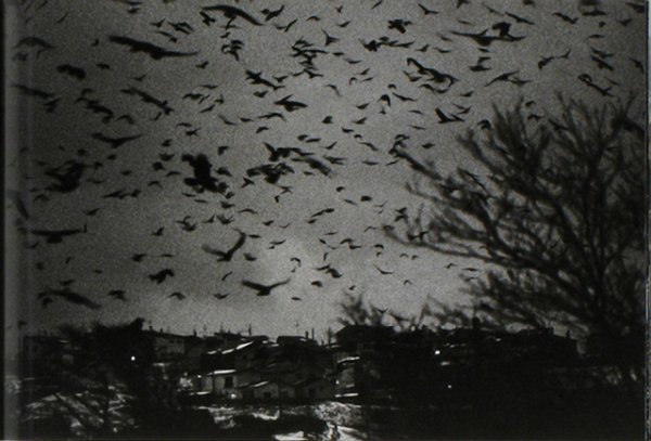 24c2dfa768e8622b3796bba8aadc167b