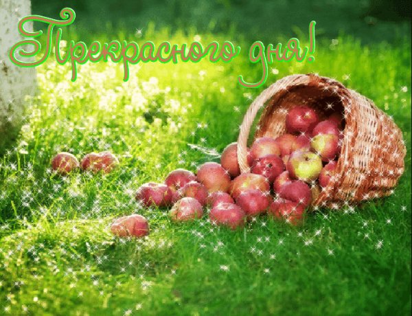 Прекрасного дня!