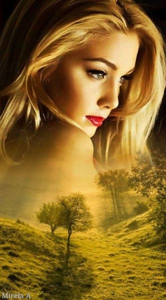 cf808d7045729e9db0eeaacd74ce