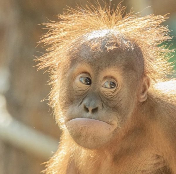 B40844cc7ce0dd0f2ac8bfe3d1f5a837