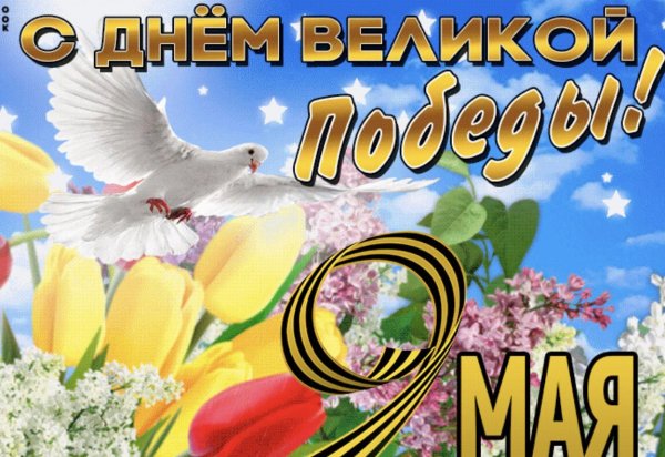 IMG-8d67c38f40f367711e6c512c873a16ac-V