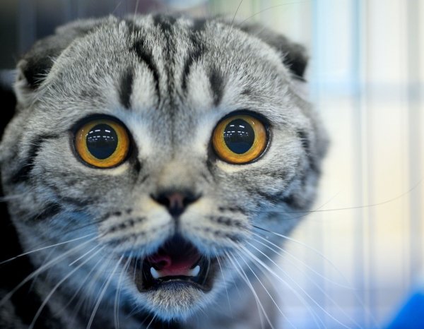 Shutterstock 286039691