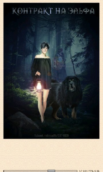 Ellari Rey. Контракт на эльфа (SI) 666015 original 3be4b