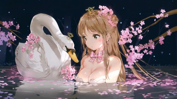 file_61005626