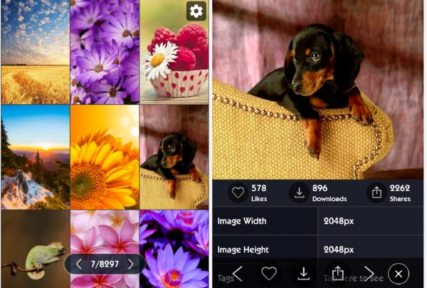 Cool Wallpapers HD 1.7.7