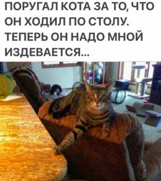 8sw YGzIwp0