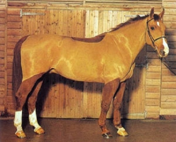 Фредериксборг (2)