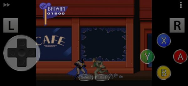 Adventures of Batman &amp; Robin, The