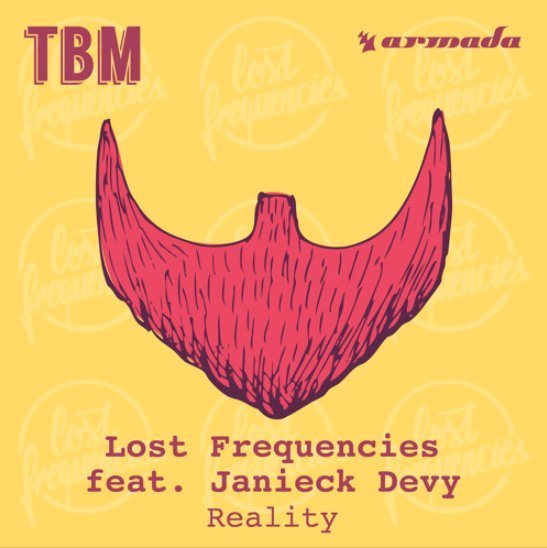 Lost Frequencies feat. Janieck Devy - Reality
