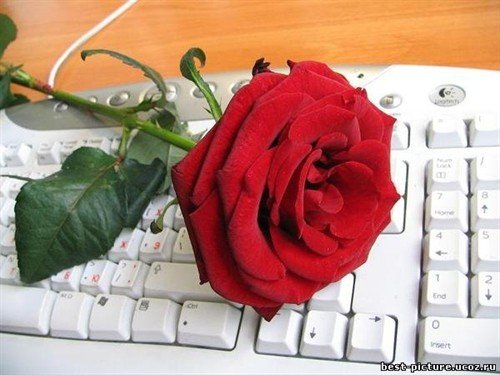 file_86390989