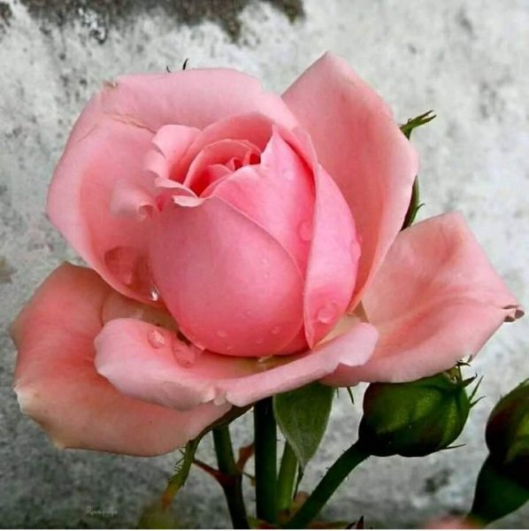 IMG 20191001 035944