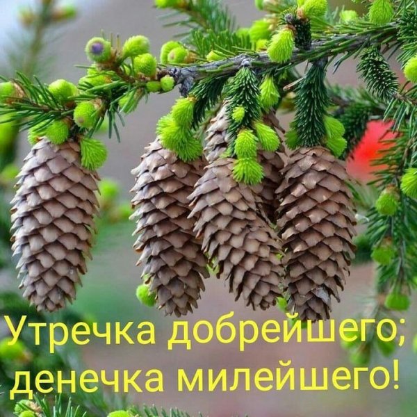 IMG 20191212 5718423