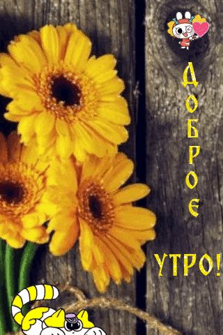 file_74547116